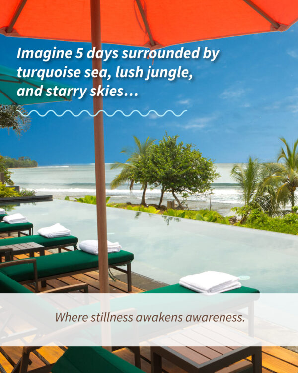Panama Retreat - Imagen 2